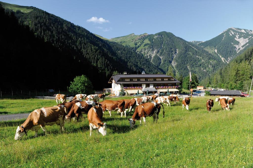 Alpengasthof Gern Alm Gasthof 3*